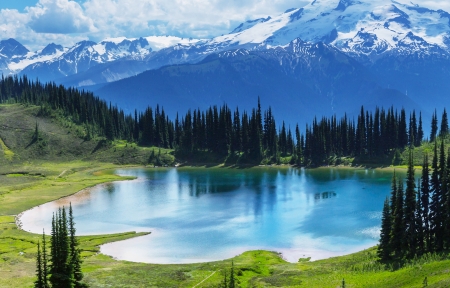 午夜甜品制作教程