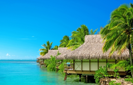 家常菜烹饪技巧